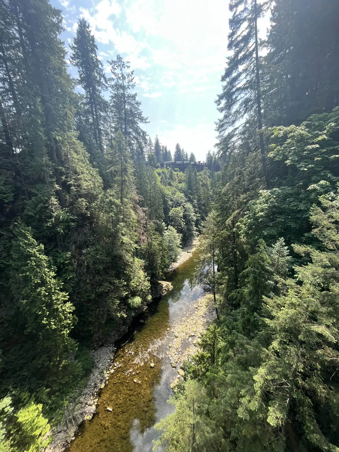 bridge