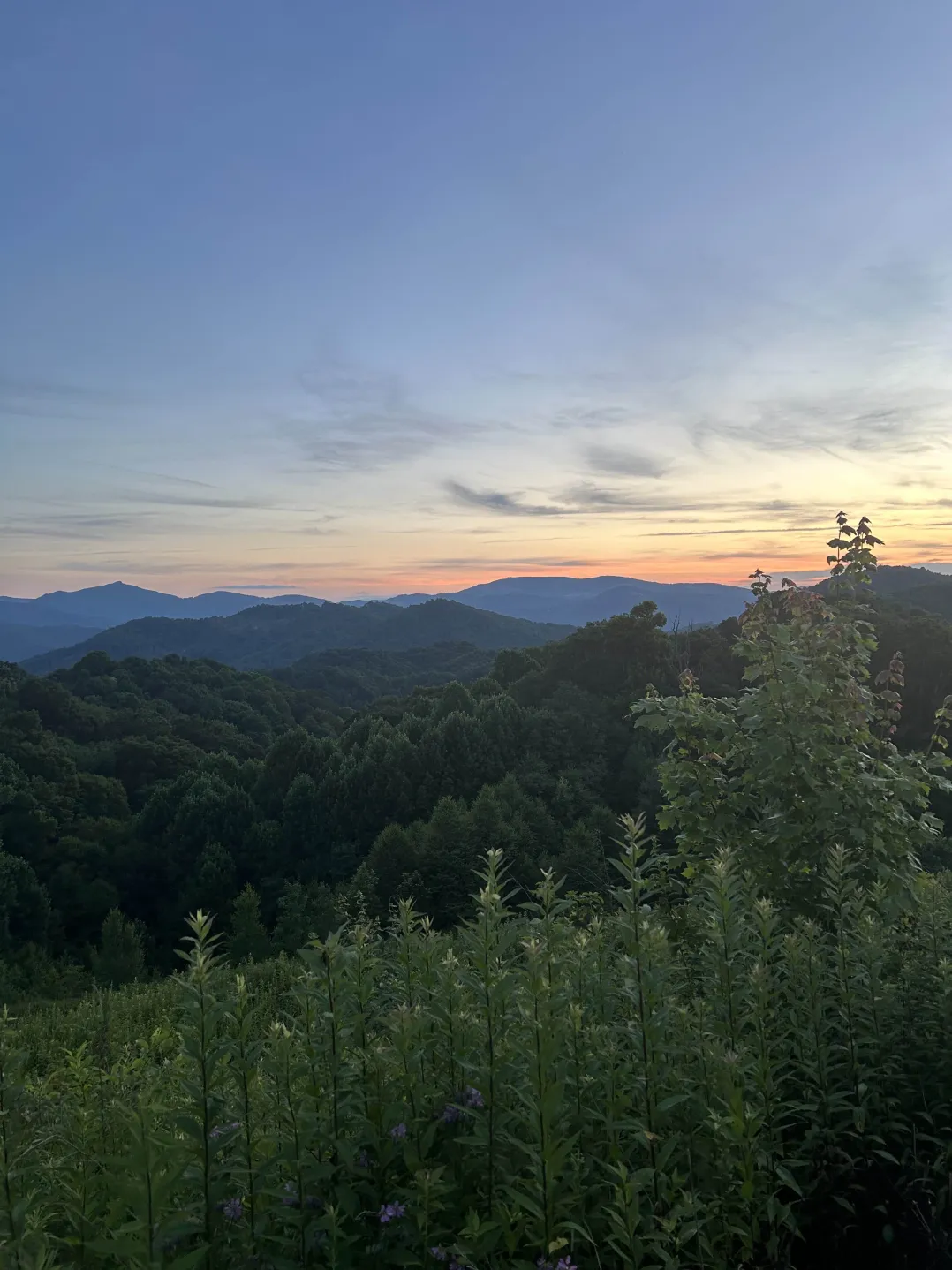 mountains