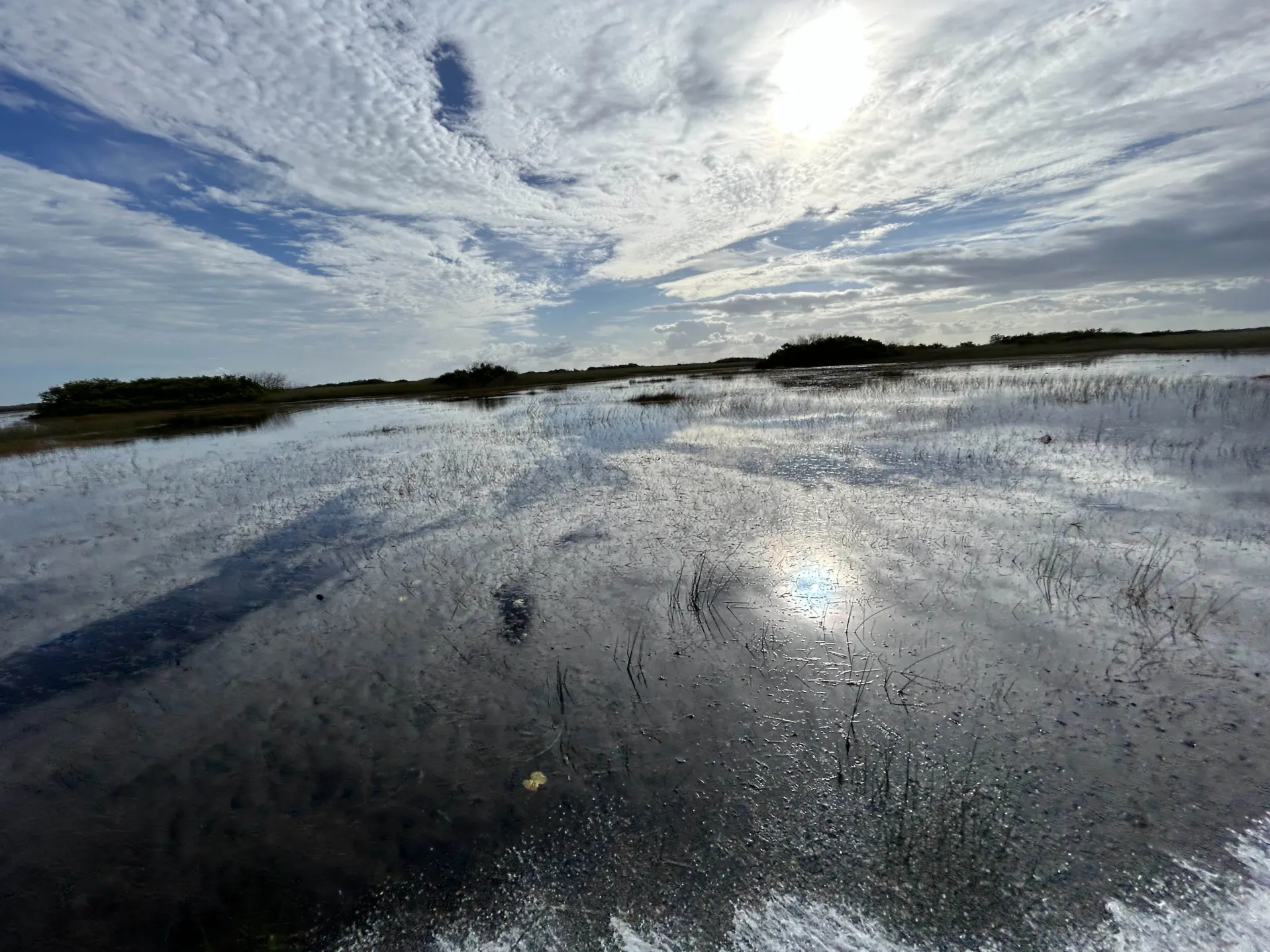 reflection