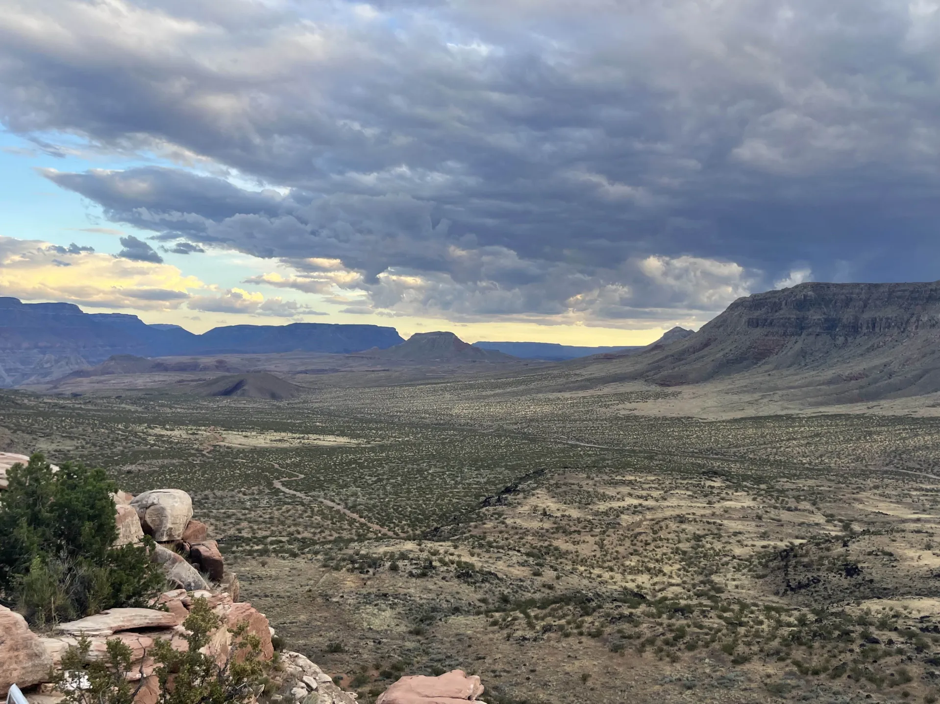 wild wild west